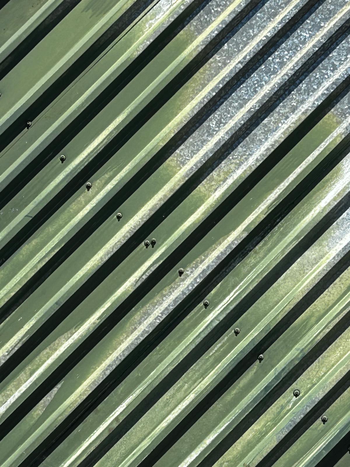Close Up of A Shed